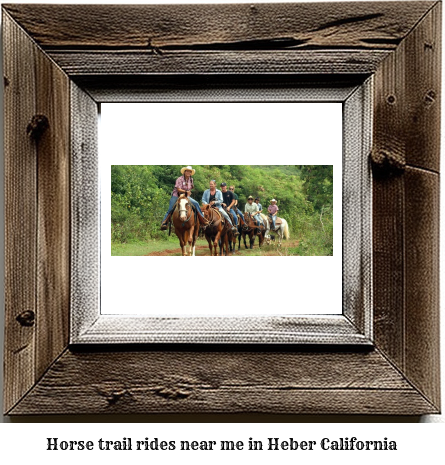 horse trail rides near me in Heber, California